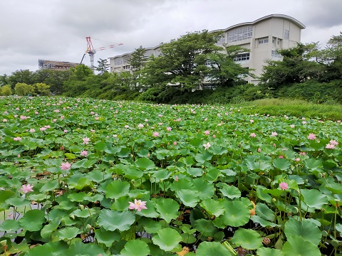 210811　父子旅２日目 (3)