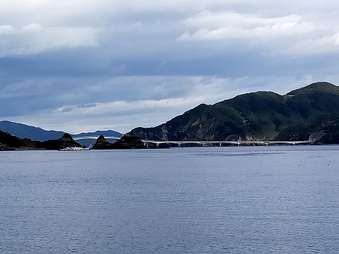 220102　散歩 (15)