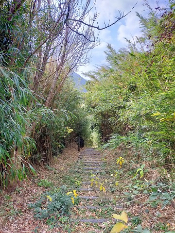 220104　展望台・釣り (14)