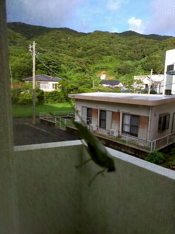 210819　島めぐり・海 (1)