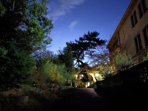 211102　大学 (2)