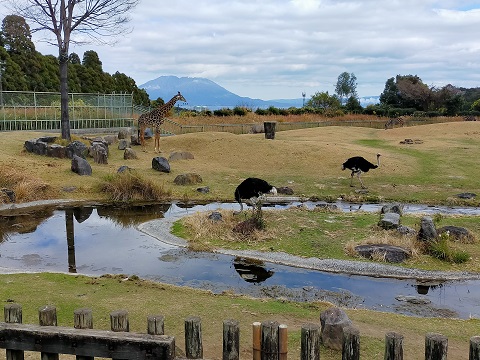 211227　鹿児島３日目 (3)