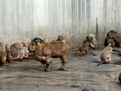 211227　鹿児島３日目 (3)