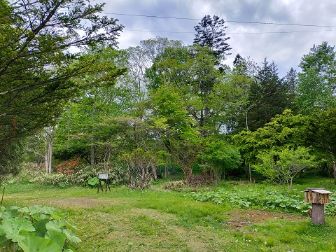 220528　千歳・登別・白老 (32)