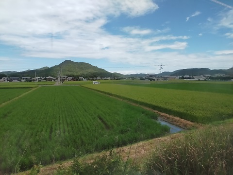 220731　徳島母親大会 (11)