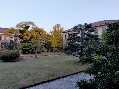 221110　大学・自転車 (7)