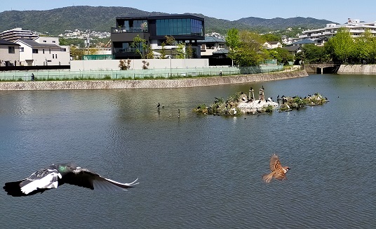 230423　池・お好み (1)