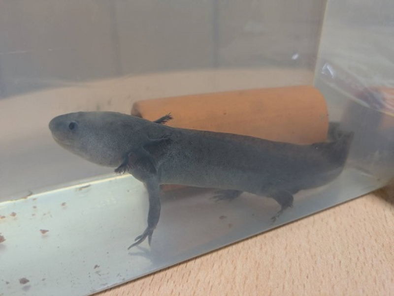 250527　ウパ