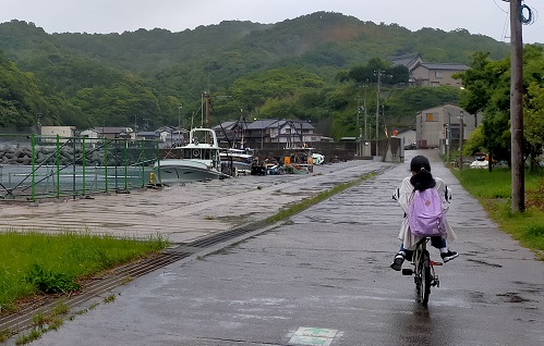 240519　プランター・島 (1)