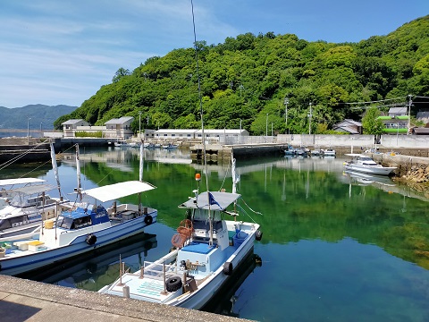 240525　島カフェ・散歩 (2)