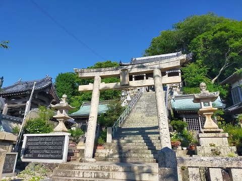 240614　島散歩 (1)