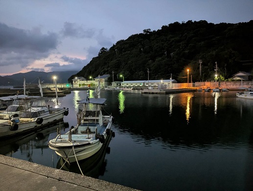 250817　島 (1)