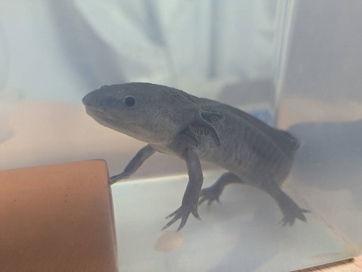 250604　ウパ先生 (3)