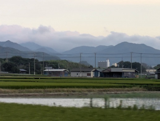 250817　島 (6)